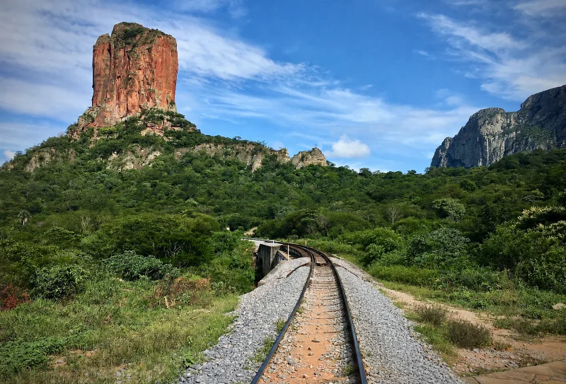 Rieles de ferrocarril con el fondo de paisaje de Roboré