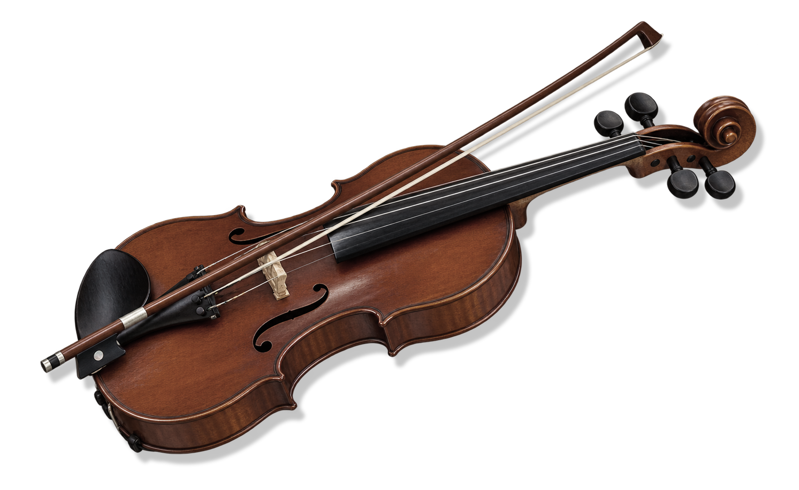 Violín
